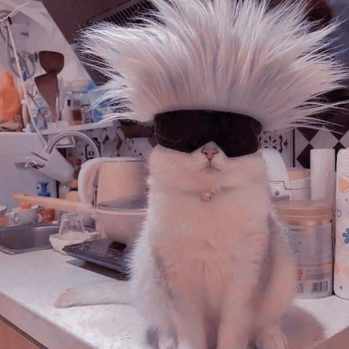Ảnh Gojo chế meme siêu lầy lội