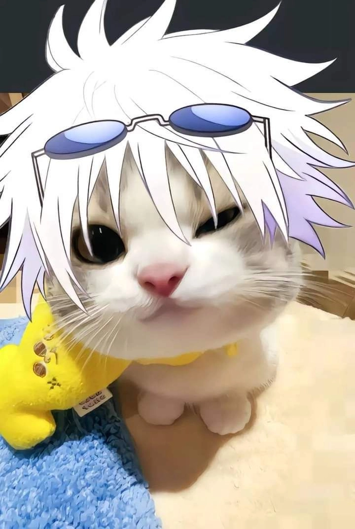 Ảnh Gojo meme hài cực mạnh