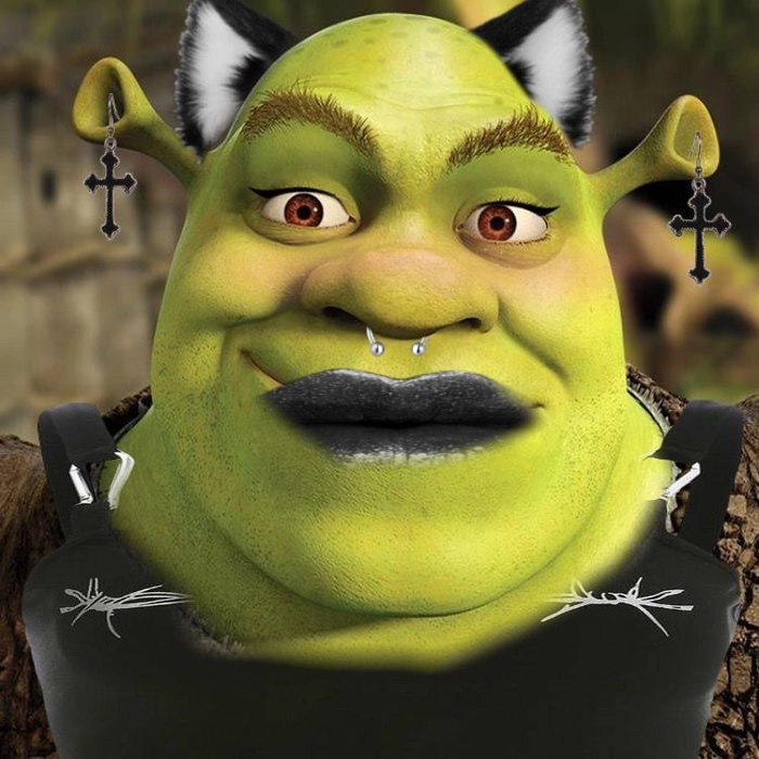 Ảnh Shrek meme ngắn gọn hài hước