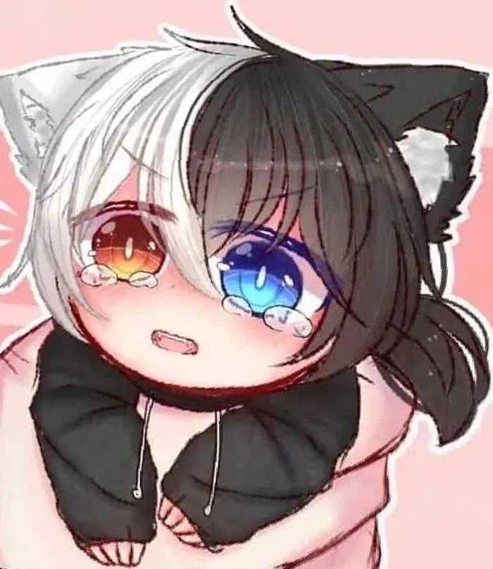 Ảnh Siro chibi cute siêu dễ thương