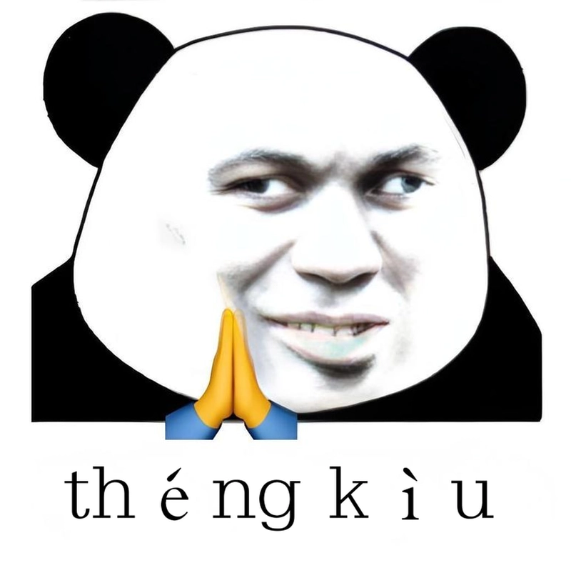 Ảnh chế meme gấu trúc cảm ơn