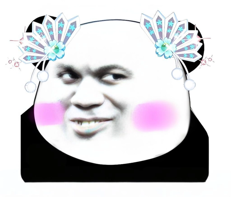 Ảnh chế meme gấu trúc slay vui