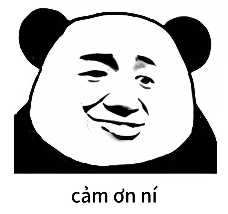 Ảnh chế vui meme gấu trúc cảm ơn