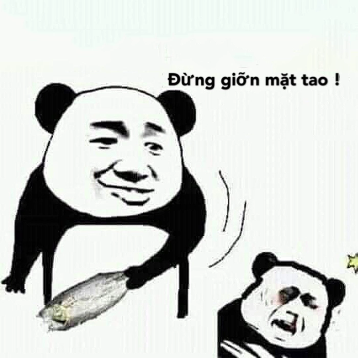 Ảnh chửi meme hài troll