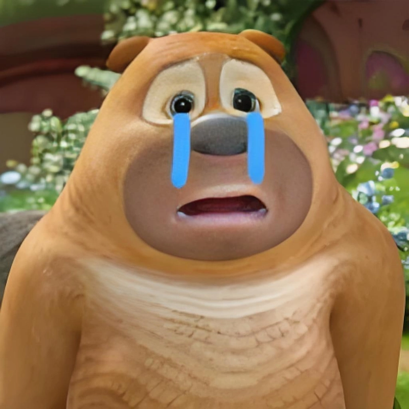 Ảnh gấu Boonie meme siêu lầy