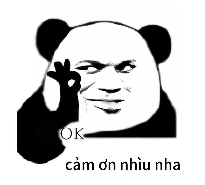 Ảnh hài meme gấu trúc cảm ơn