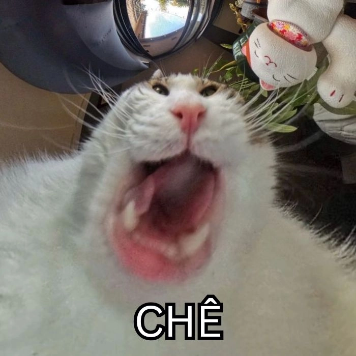 Ảnh meme chê hài hước bá đạo