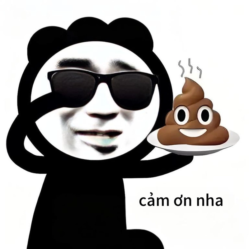 Ảnh meme gấu trúc đa tạ châm biếm