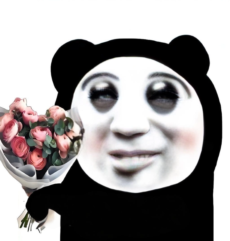 Ảnh meme hài hước gấu trúc bá đạo