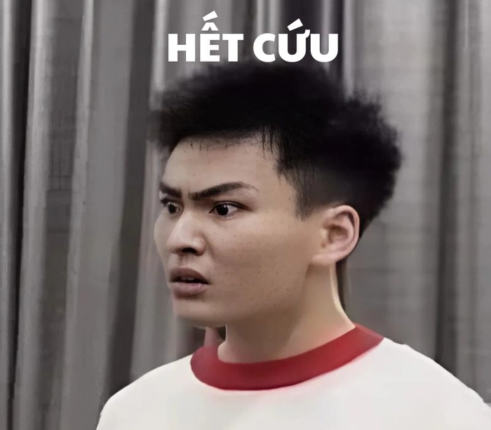 Ảnh meme hết cứu ngộ nghĩnh