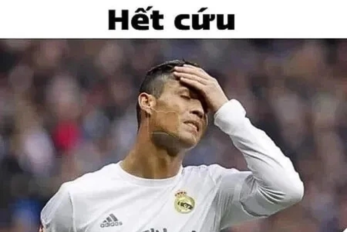 Ảnh meme hết cứu vui nhộn