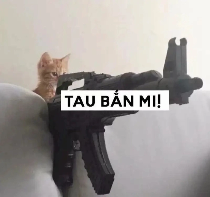 Ảnh meme ngầu khó đỡ