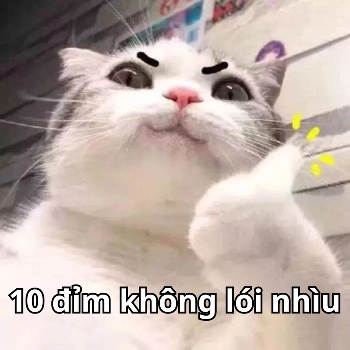 Ảnh meme ngầu troll lầy