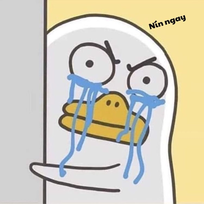 Ảnh meme nín siêu chất