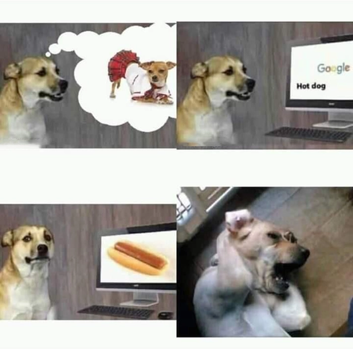 Ảnh meme óc chó chất ngầu