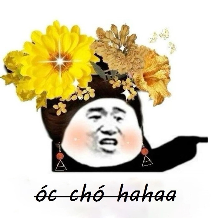 Ảnh meme óc chó vui nhộn