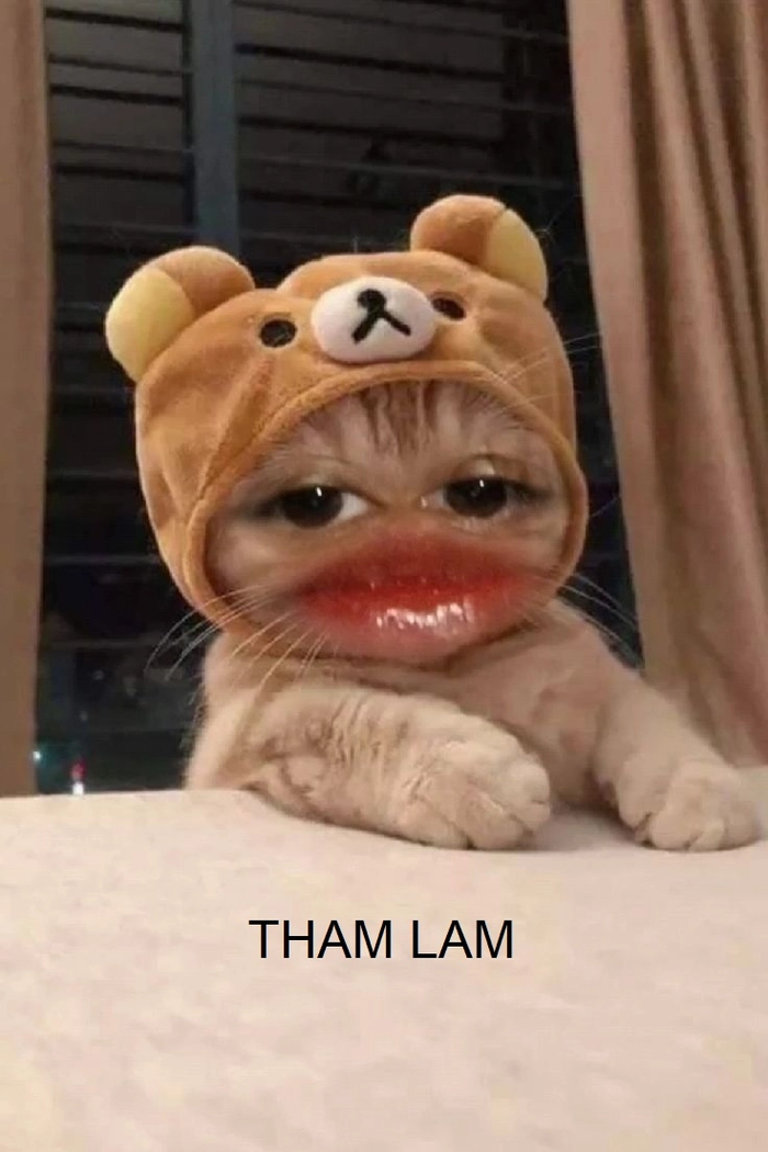 Ảnh meme tham lam cực chất
