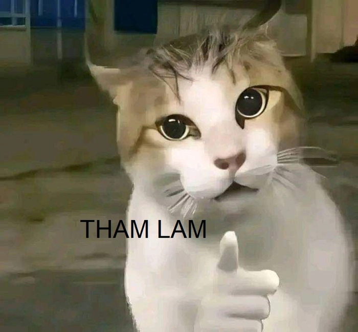 Ảnh meme tham lam cười bể bụng
