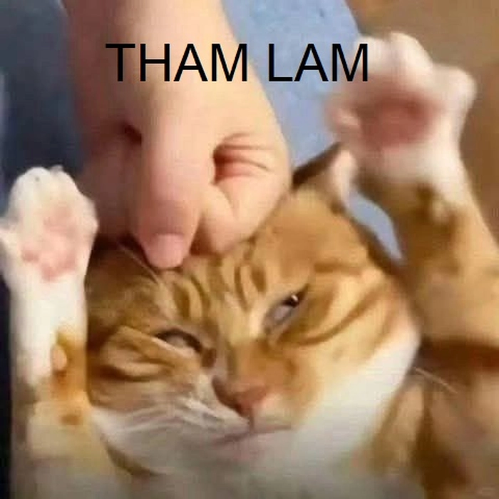 Ảnh meme tham lam hài hước