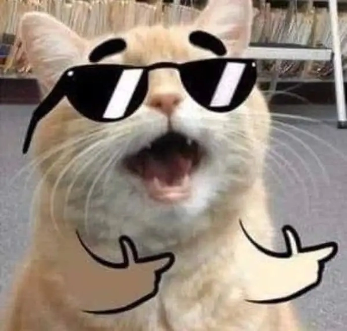 Ảnh ngầu meme chất lòi