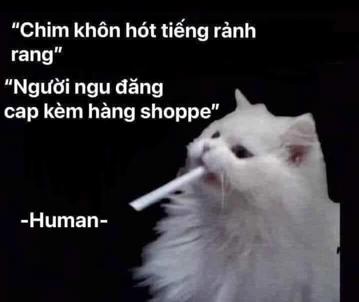 Ảnh ngầu meme cười thả ga