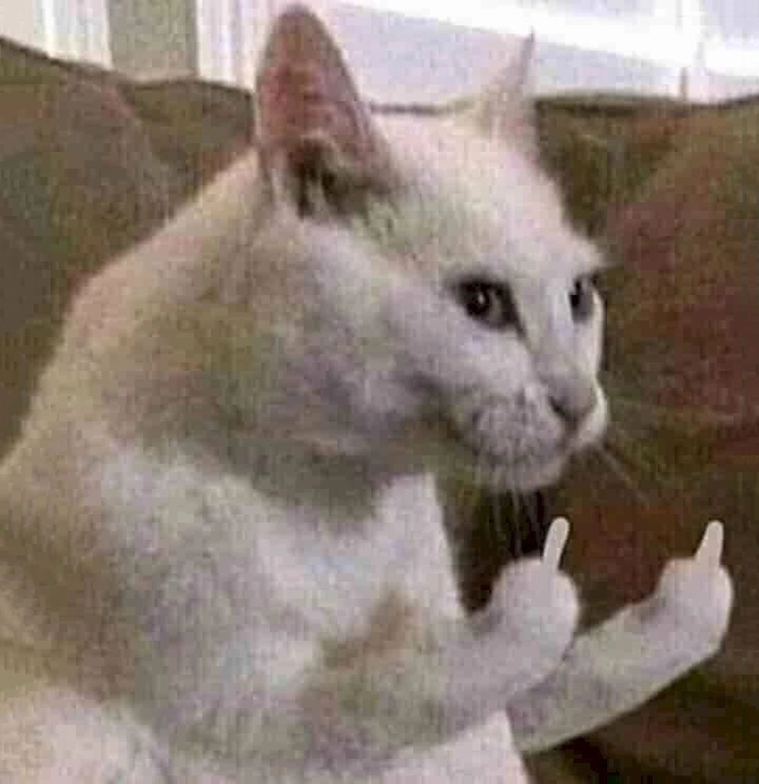 Ảnh ngón giữa meme hài hước