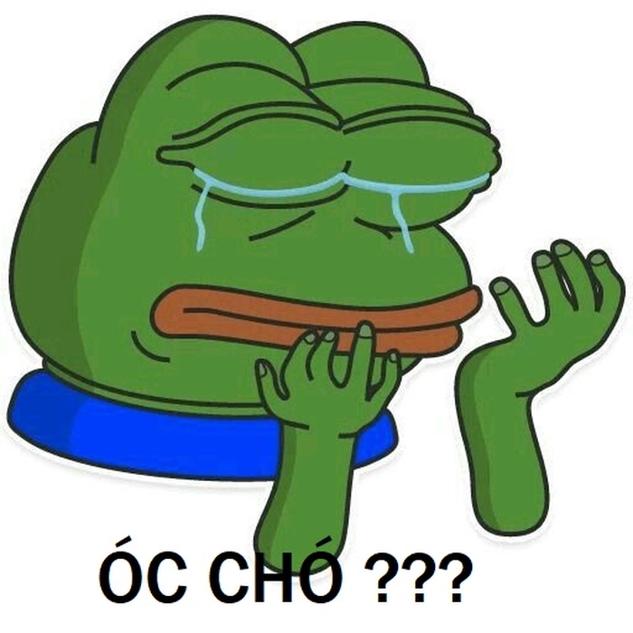 Ảnh óc chó meme bá đạo