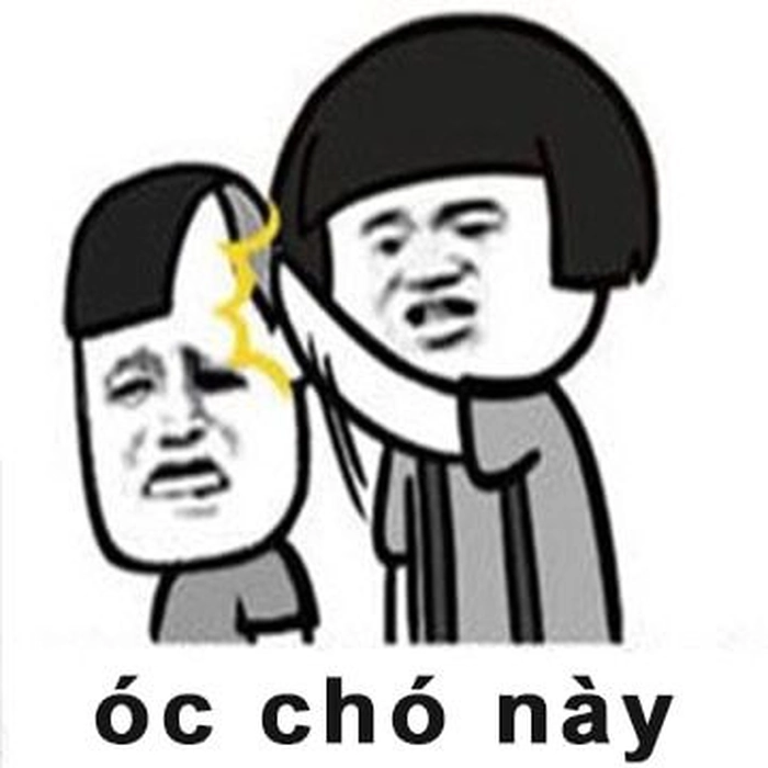 Ảnh óc chó meme cực hài