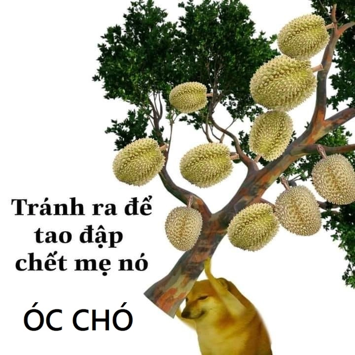 Ảnh óc chó meme hài bựa