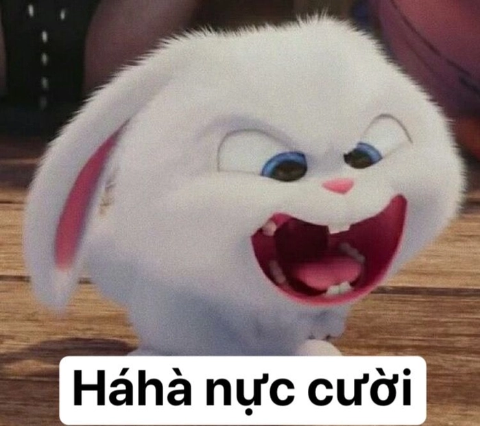 Ảnh thỏ Snowball dễ thương cười tít mắt