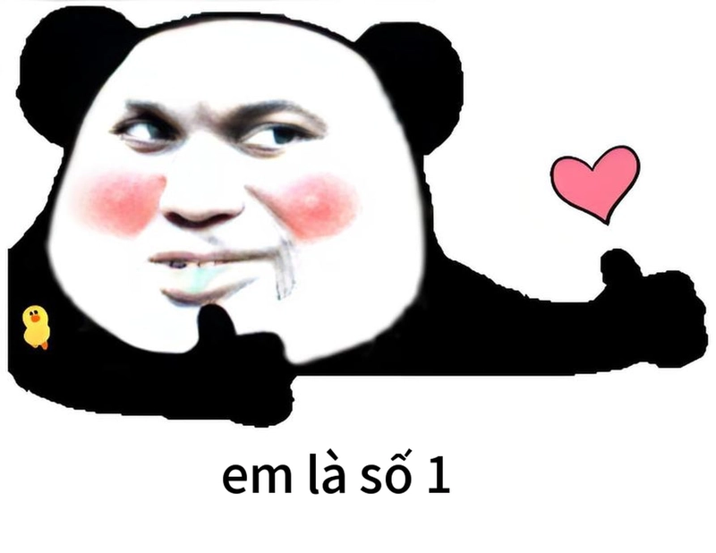 Bộ ảnh meme gấu trúc thả tim