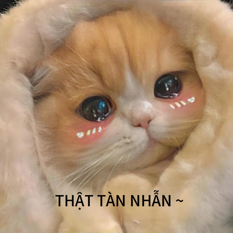 Bộ sưu tập hình ảnh meme đáng yêu