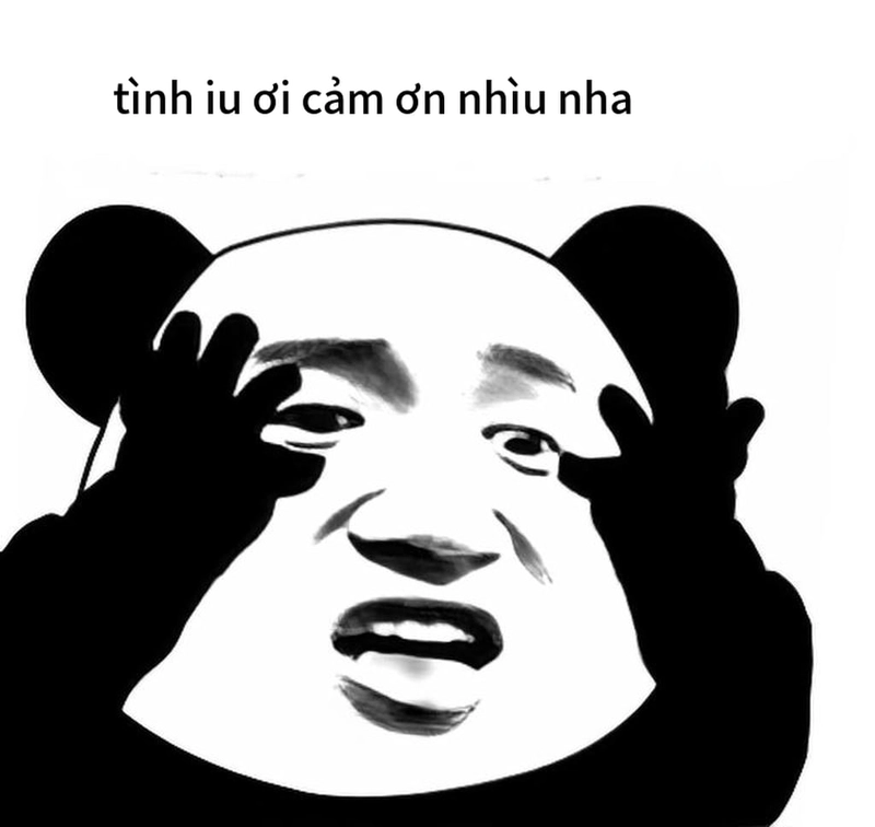 Bộ sưu tập meme gấu trúc cảm ơn