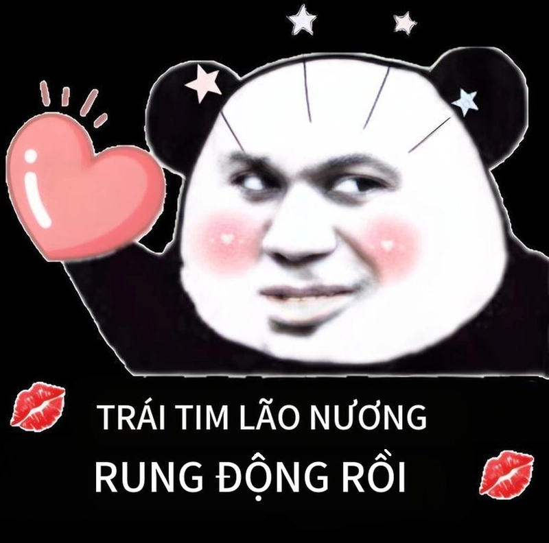 Bộ sưu tập meme gấu trúc yêu