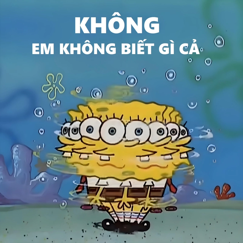 Bọt Biển hoạt hình meme vui cười