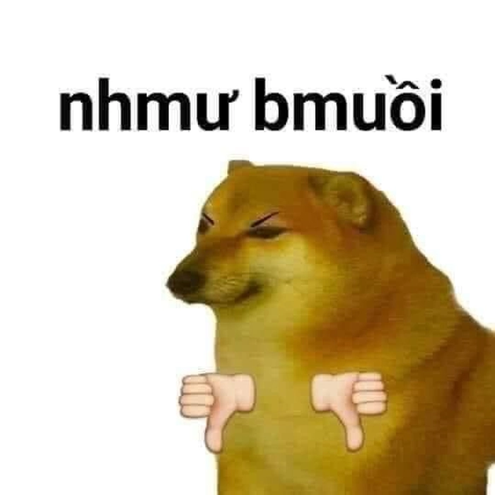 Chó like siêu dễ thương