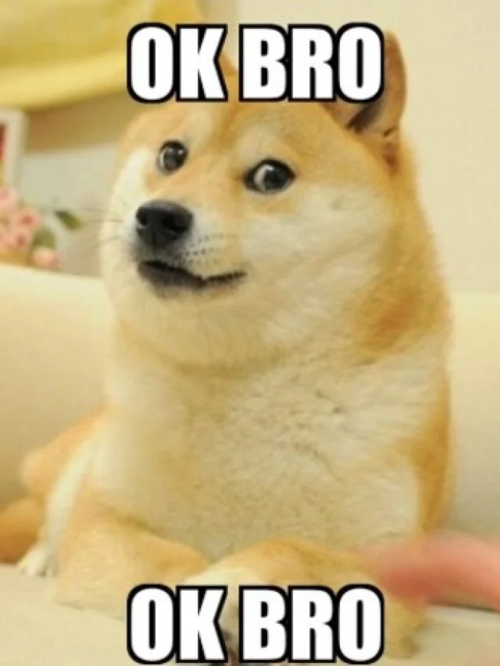 Chú chó vui nhộn thả like