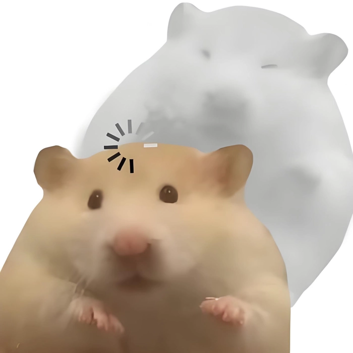 Chuột hamster meme dễ thương hài hước