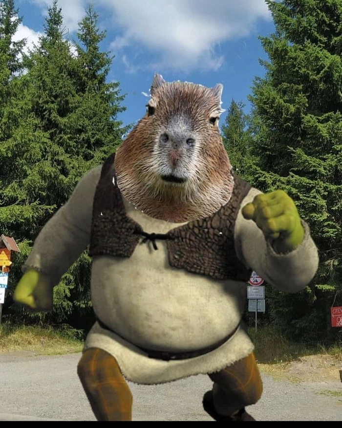 Con capybara meme hài hước