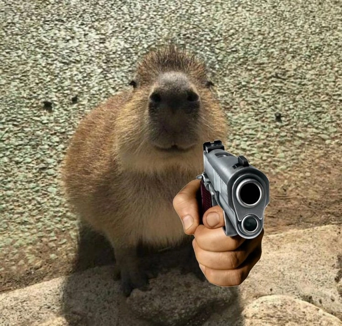 Con capybara meme ngộ nghĩnh