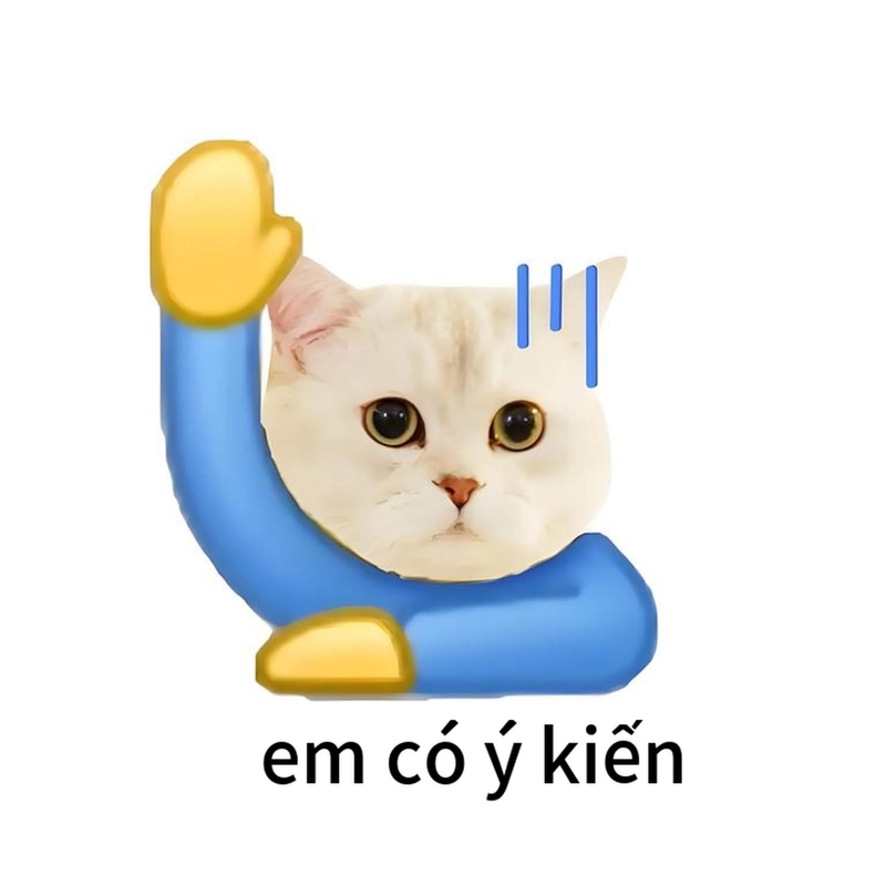 Đáng yêu meme gây cười