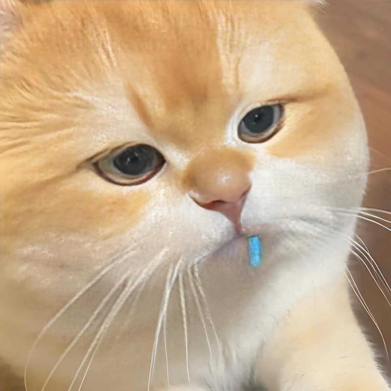 Đáng yêu meme lan truyền