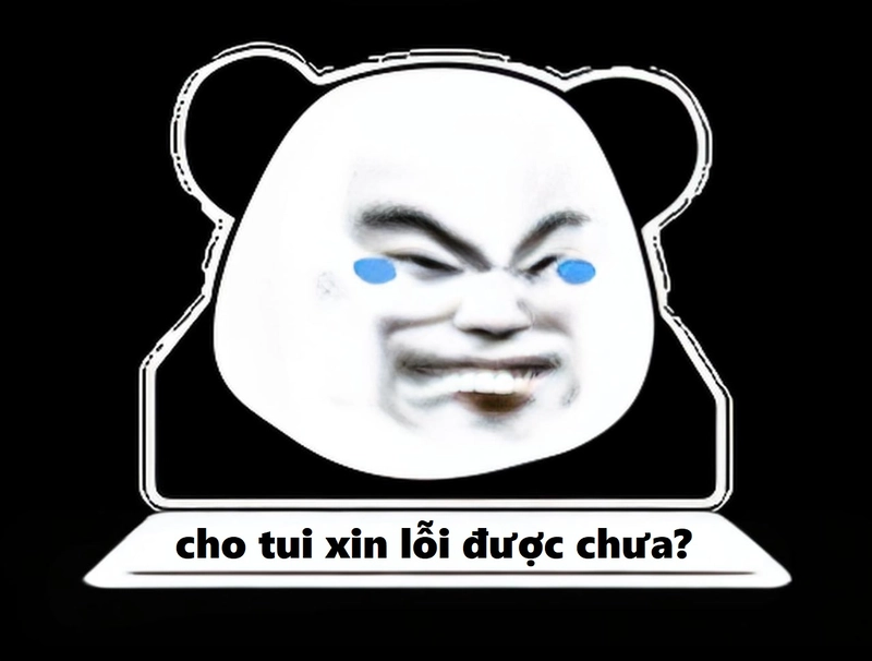Gấu trúc meme xin lỗi cực đáng yêu
