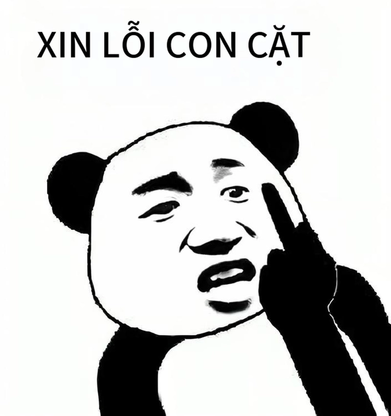 Gấu trúc meme xin lỗi cực hài