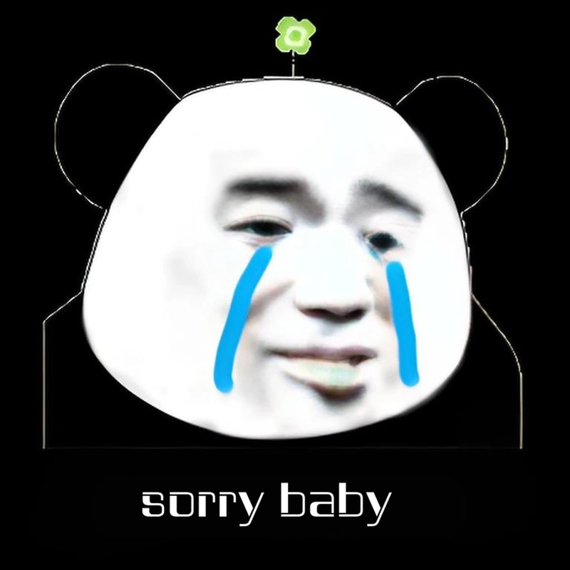 Gấu trúc meme xin lỗi đáng yêu