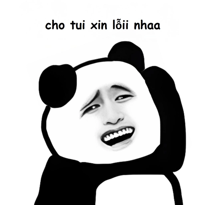 Gấu trúc meme xin lỗi hài bá đạo