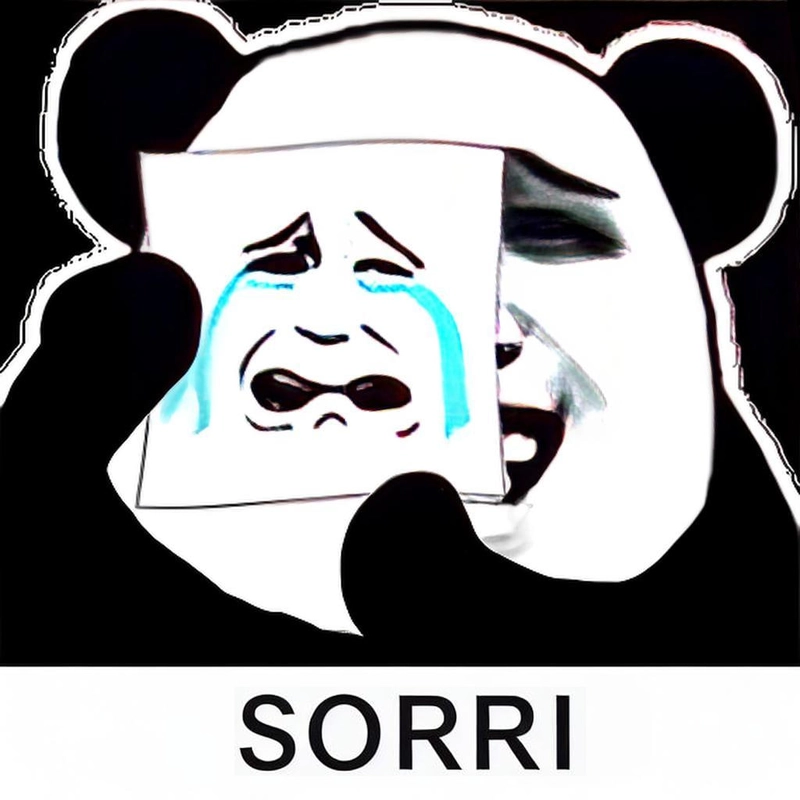 Gấu trúc meme xin lỗi vui nhộn