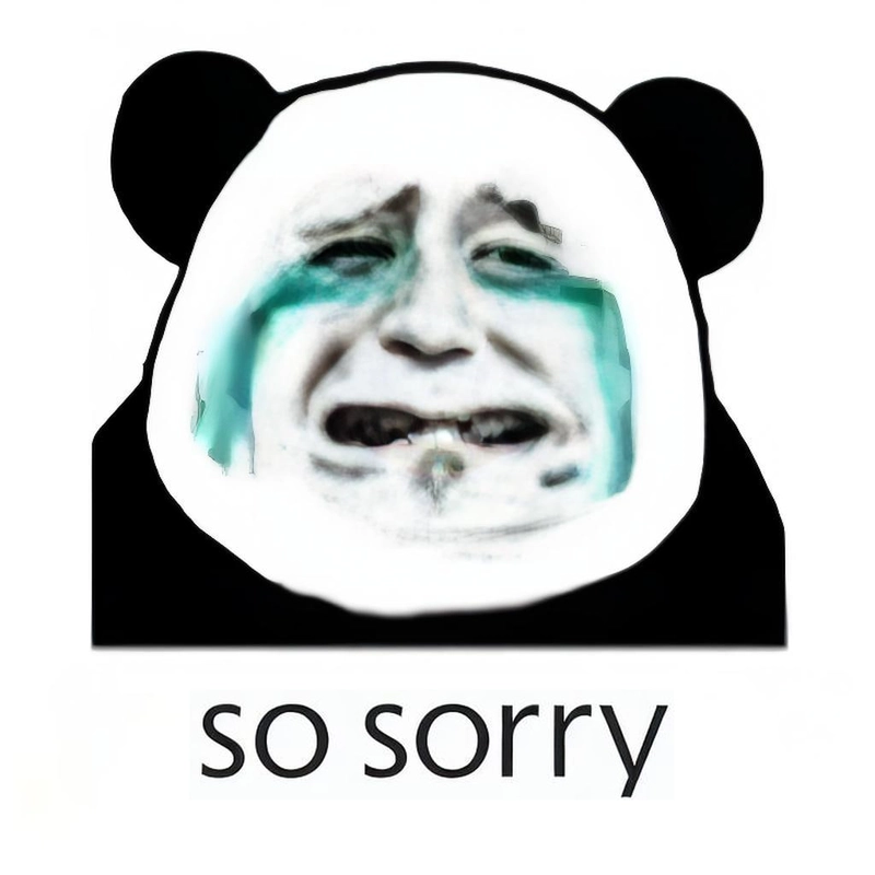 Gấu trúc xin lỗi meme chế hài