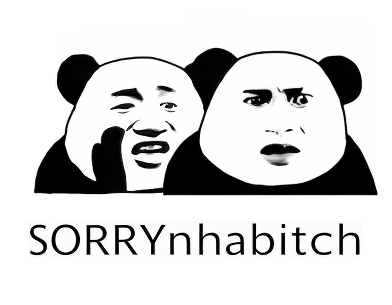 Gấu trúc xin lỗi meme cute