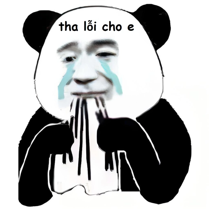 Gấu trúc xin lỗi meme đáng yêu